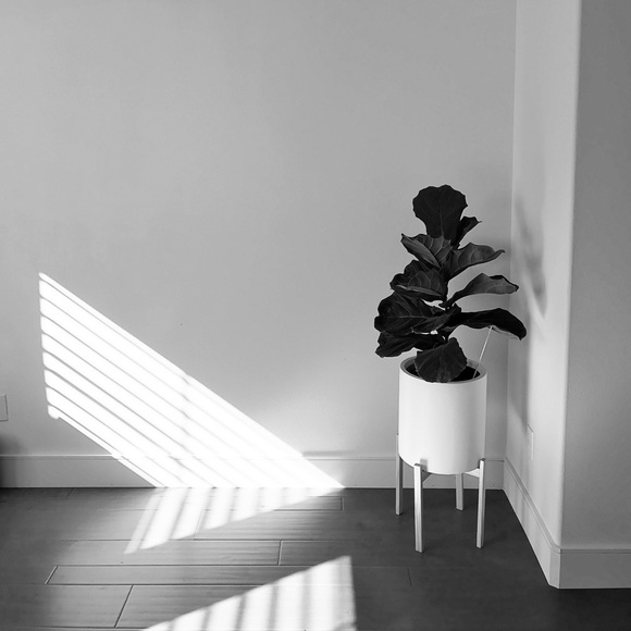 Meet your Posher, David - Picture 1 of 2